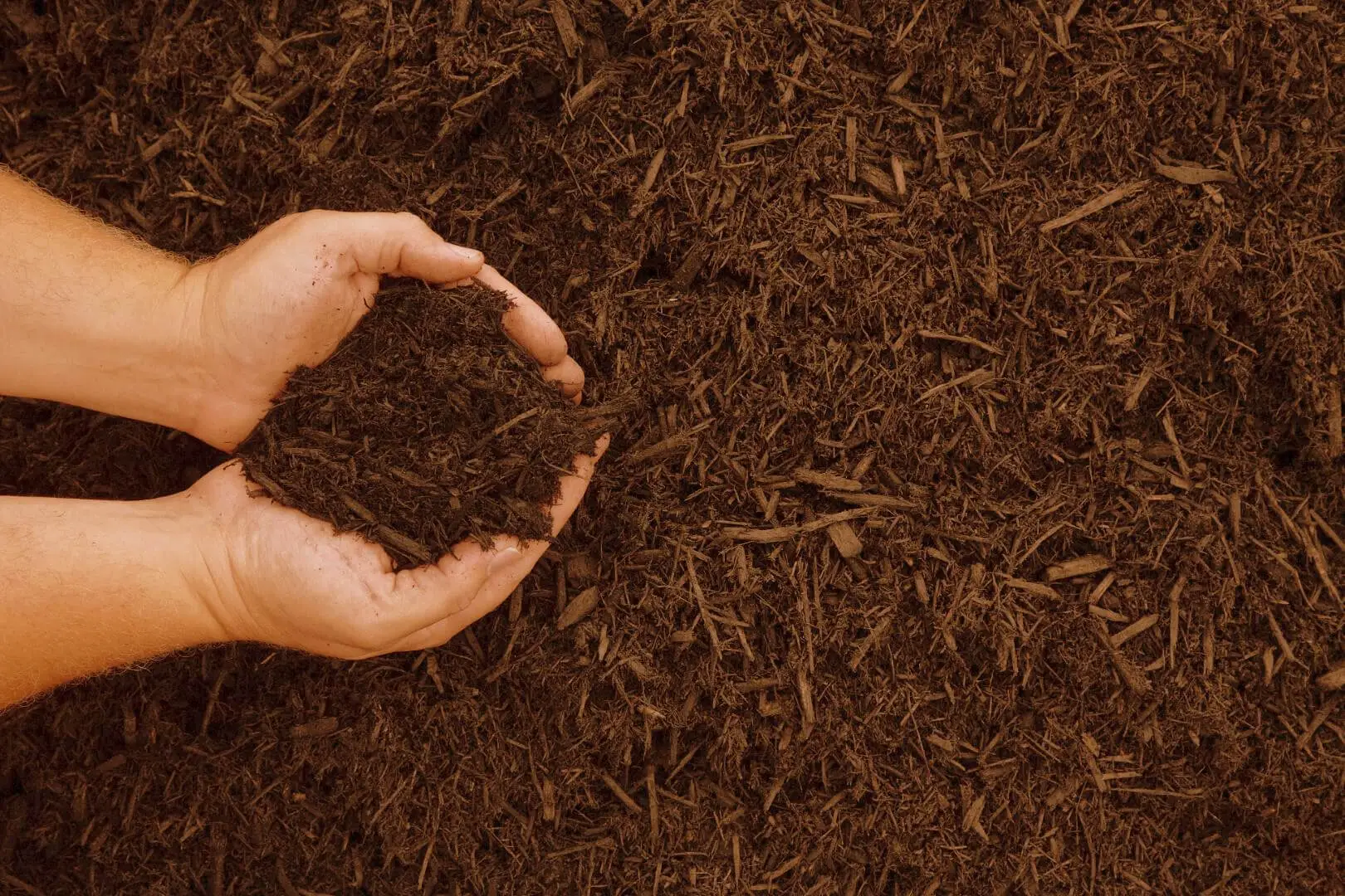 Fertilizzanti naturali facili con scarti di cucina: guida rapida alle migliori soluzioni Fertilizzanti naturali facili con scarti di cucina: guida rapida alle migliori soluzioni